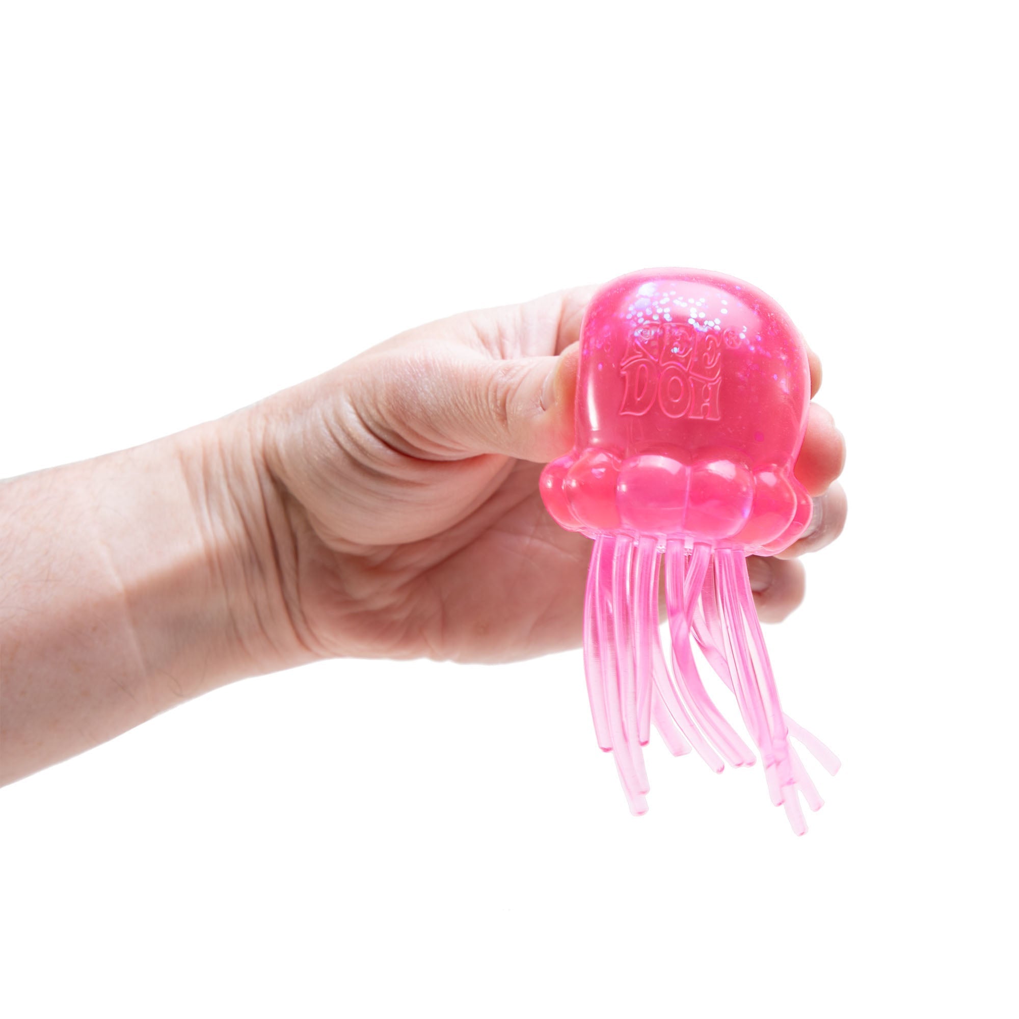JSND_Image4